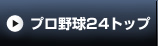 プロ野球24トップ